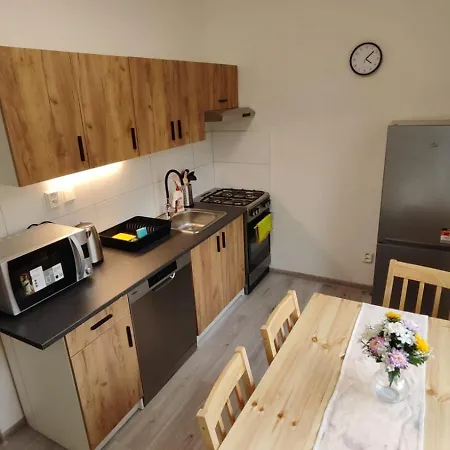 V Kraslicích Pro 4 Osoby, Pohraniční Stráže Kraslice