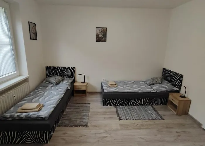 V Kraslicich Pro 4 Osoby, Pohranicni Straze Kraslice