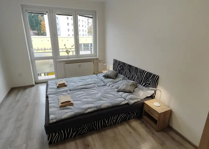 Apartamento V Kraslicích Pro 4 Osoby, Pohraniční Stráže *