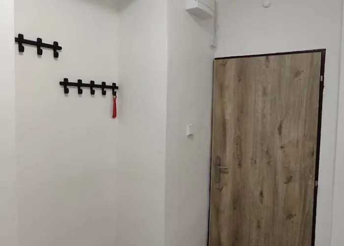 V Kraslicich Pro 4 Osoby, Pohranicni Straze
