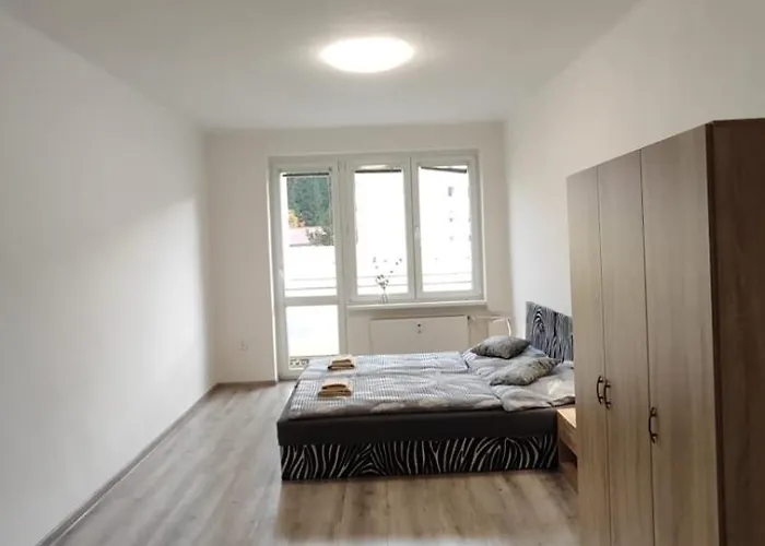 V Kraslicich Pro 4 Osoby, Pohranicni Straze Lejlighed Kraslice